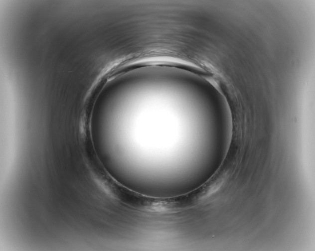 X0000086900064200704301025