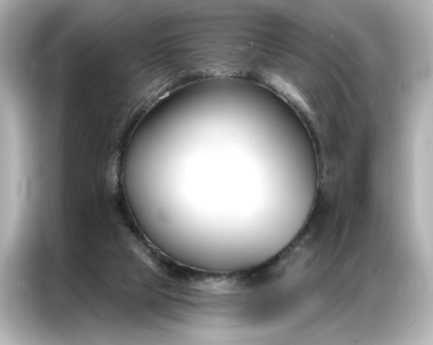 X0000086900065200704301025