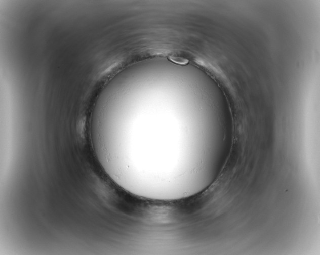 X0000086900066200704301025