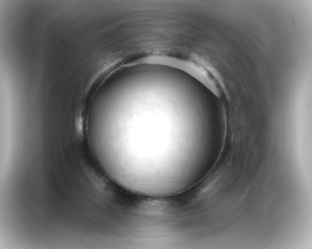 X0000086900067200704301025