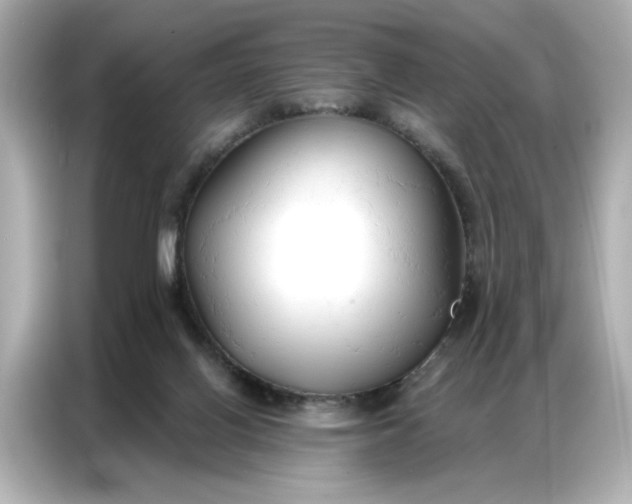 X0000086900070200704301025