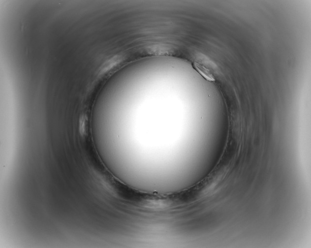 X0000086900071200704301025