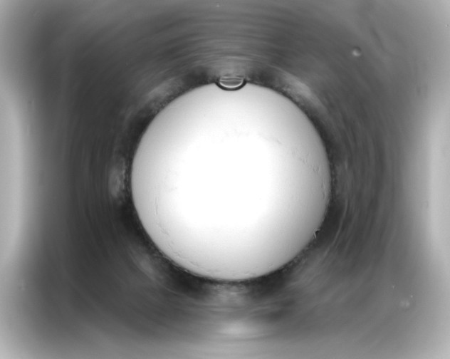 X0000086900073200704301025