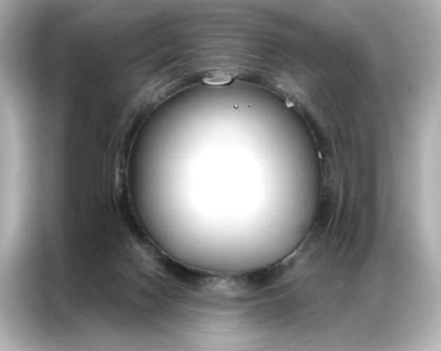 X0000086900074200704301025