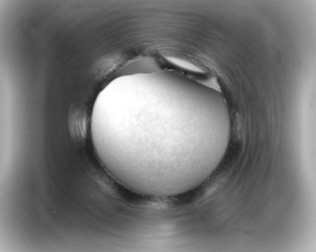 X0000086900076200704301025