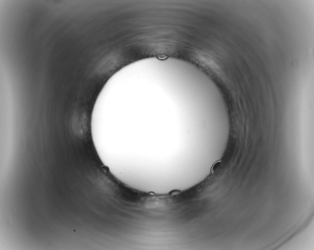 X0000086900077200704301025