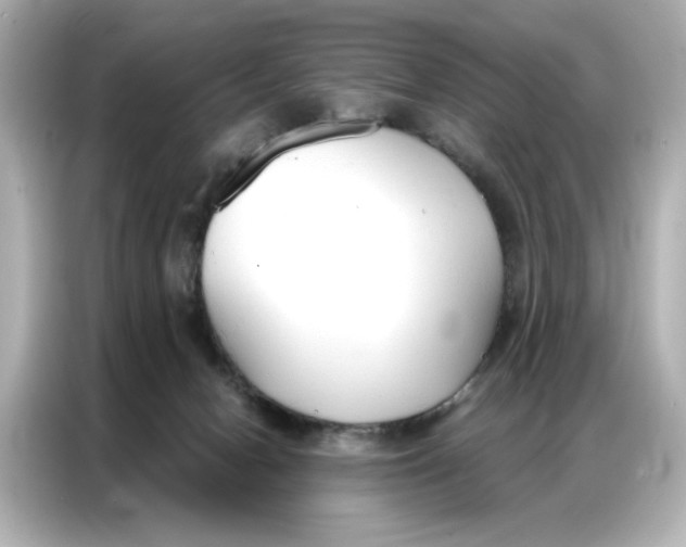 X0000086900078200704301025