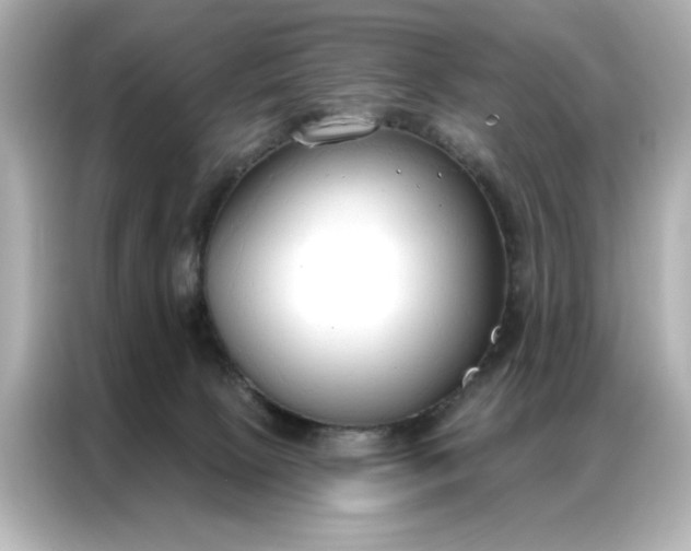 X0000086900081200704301025