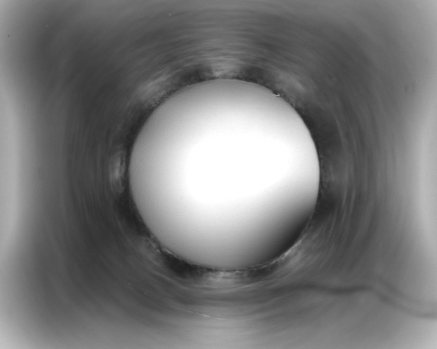 X0000086900082200704301025