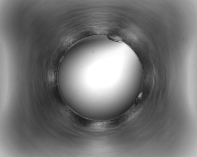 X0000086900084200704301025