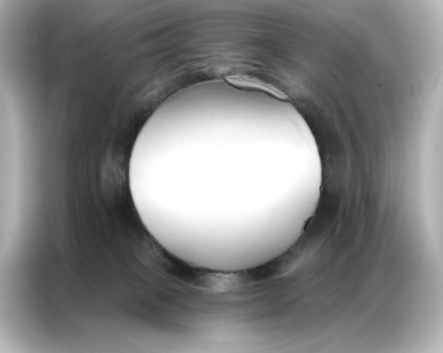 X0000086900085200704301025