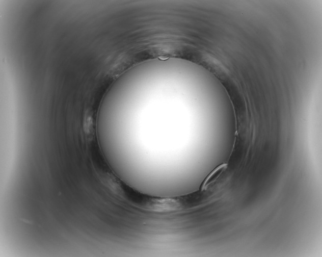 X0000086900087200704301025