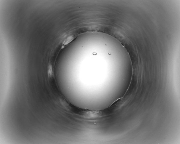 X0000086900089200704301025