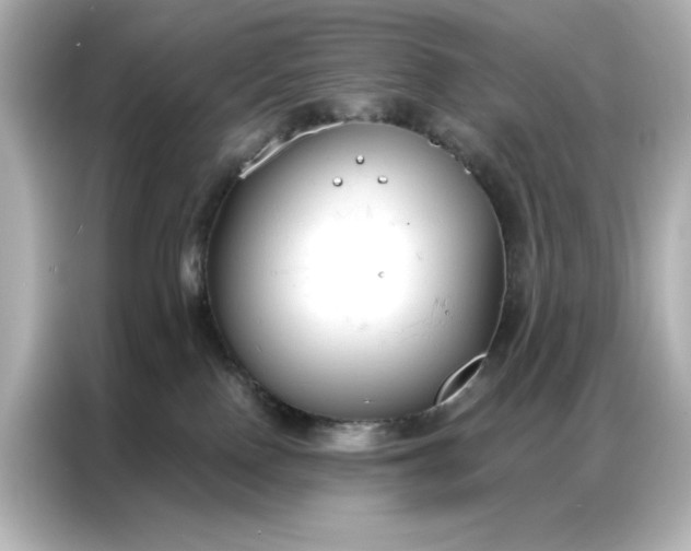 X0000086900090200704301025