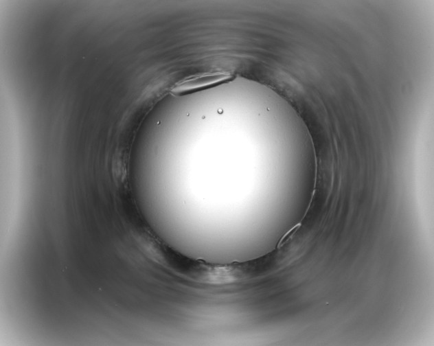 X0000086900091200704301025