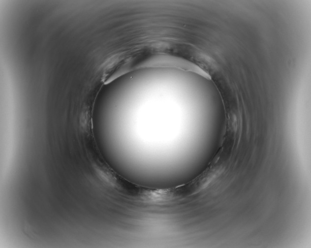 X0000086900092200704301026