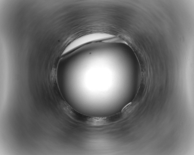 X0000086900093200704301026