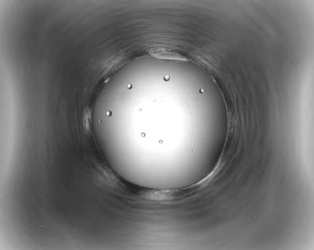 X0000086900094200704301026