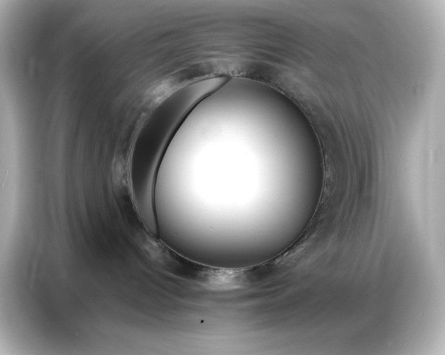 X0000086900096200704301026