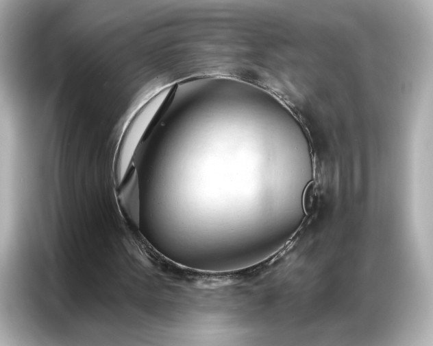 X0000086900099200704301025