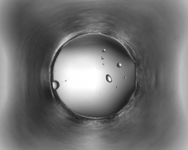 X0000086900100200704301025