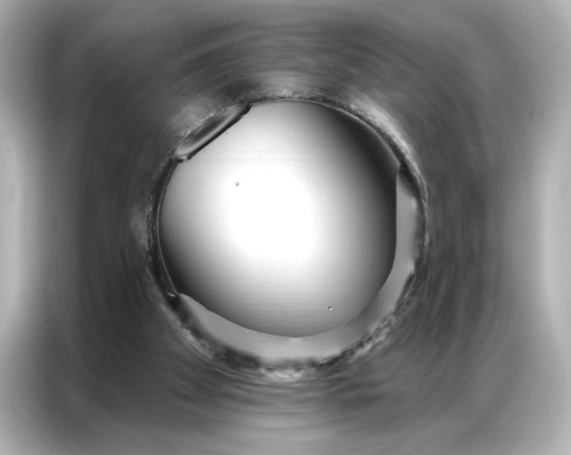 X0000086900105200704301025