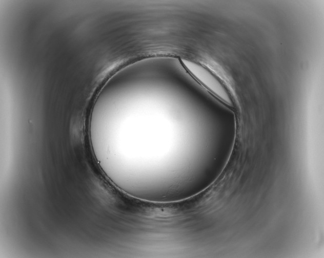 X0000086900107200704301025