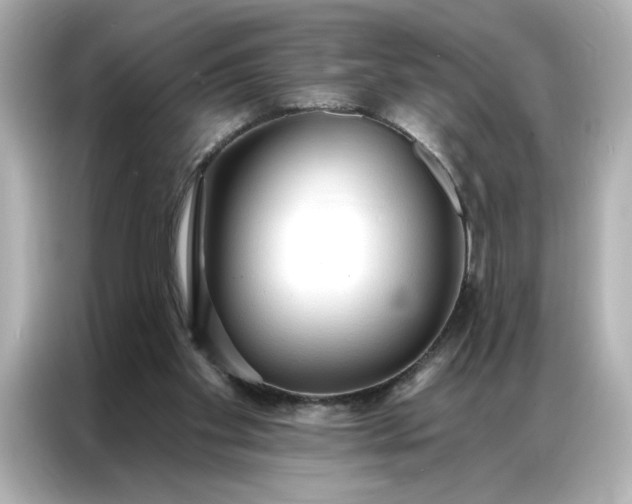 X0000086900109200704301025