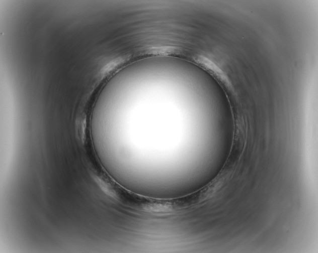 X0000086900110200704301025