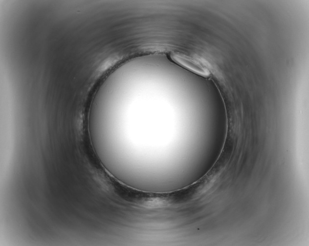 X0000086900111200704301025