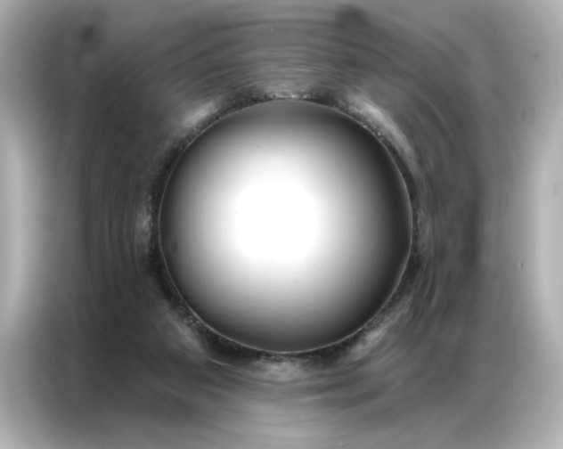 X0000086900113200704301025