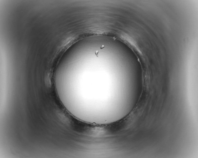 X0000086900114200704301025