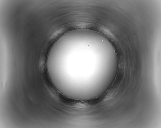 X0000086900119200704301025