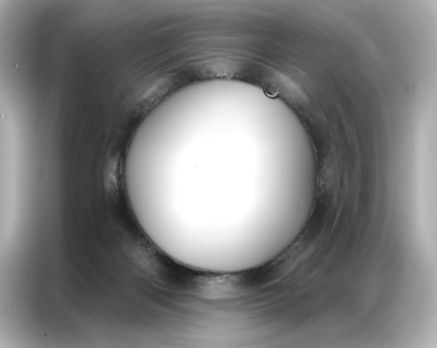 X0000086900122200704301025