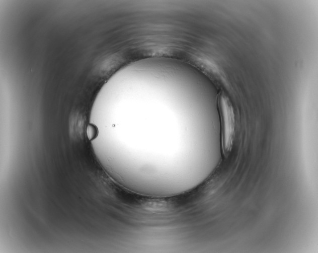 X0000086900123200704301025