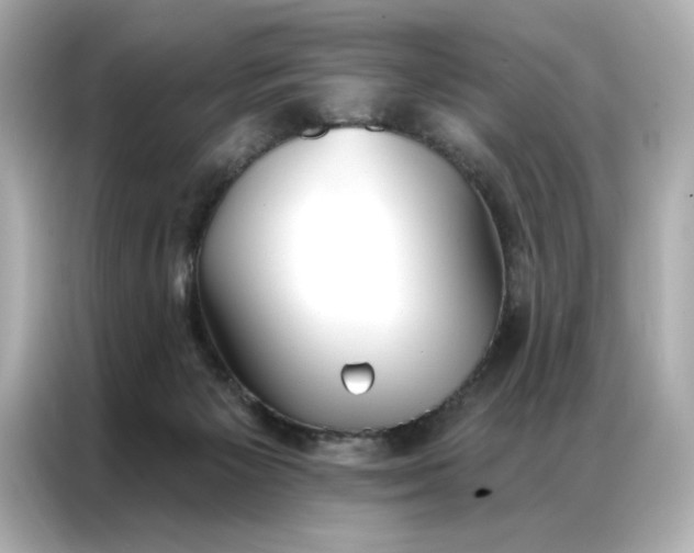 X0000086900125200704301025