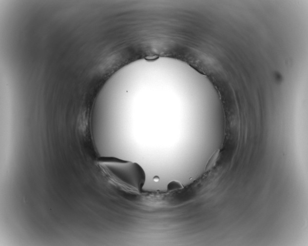 X0000086900129200704301025