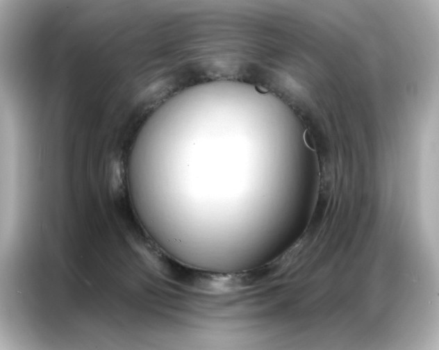 X0000086900130200704301024