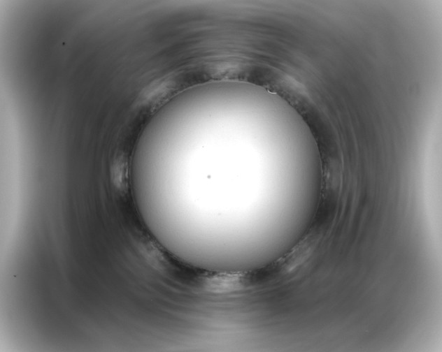 X0000086900138200704301024