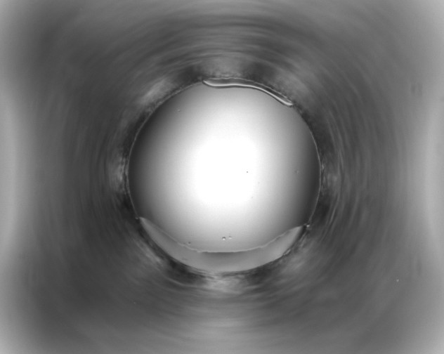 X0000086900141200704301024