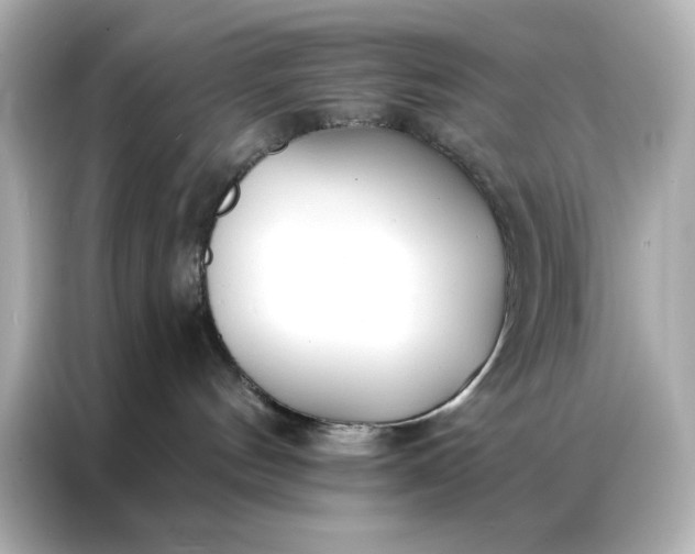 X0000086900144200704301024