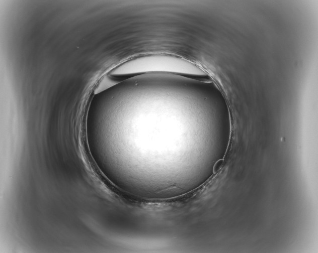 X0000086900145200704301024