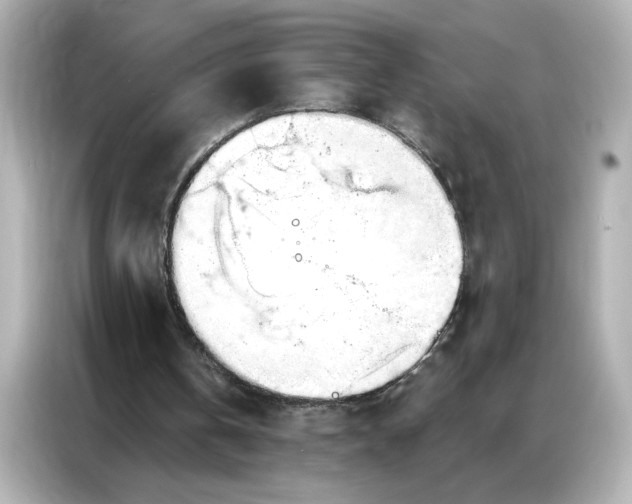 X0000086900146200704301024