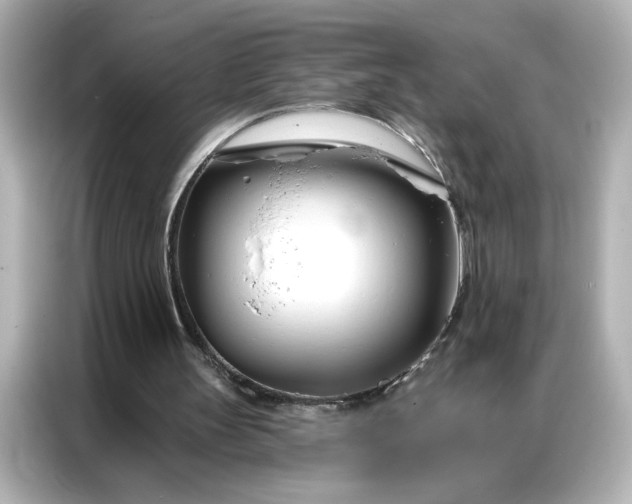 X0000086900147200704301024