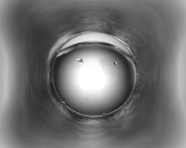 X0000086900149200704301024