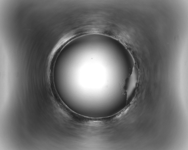 X0000086900150200704301024