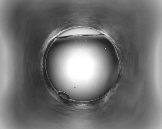 X0000086900151200704301024