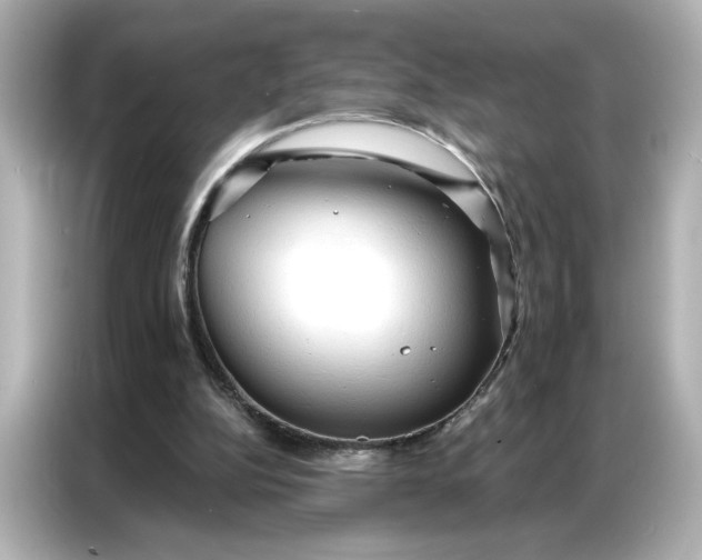 X0000086900152200704301024