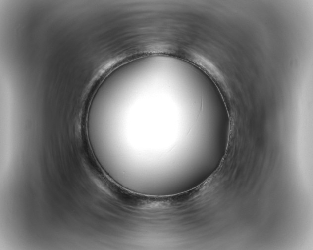 X0000086900155200704301024