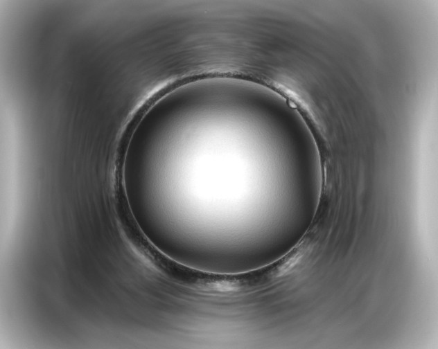 X0000086900156200704301024